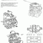 2002 Ford F150 Firing Order 4 2 Wiring And Printable