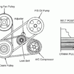 2002 Isuzu Rodeo Radio Wiring Diagram Diagram Base Website Wiring