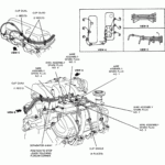 2004 Ford Explorer Firing Order Wiring And Printable