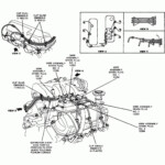 2006 Ford F150 4 6 Firing Order Wiring And Printable