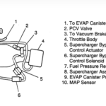 3800 Series 2 Vacuum Diagram Wiring Diagram Database