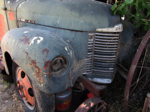 David Magney International Harvester Trucks