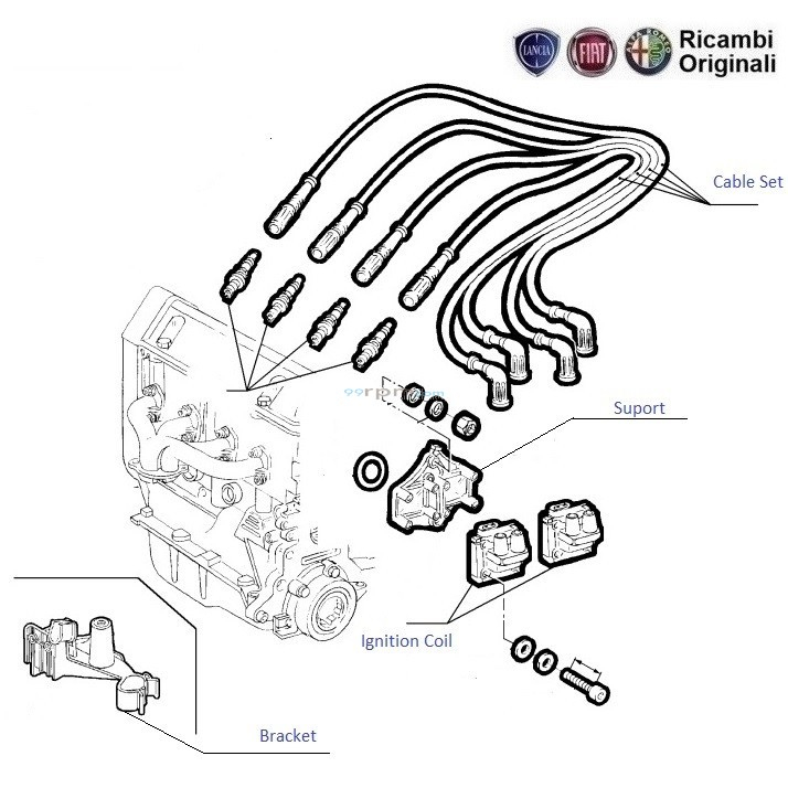 Fiat Palio Siena 1 2 Ignition System