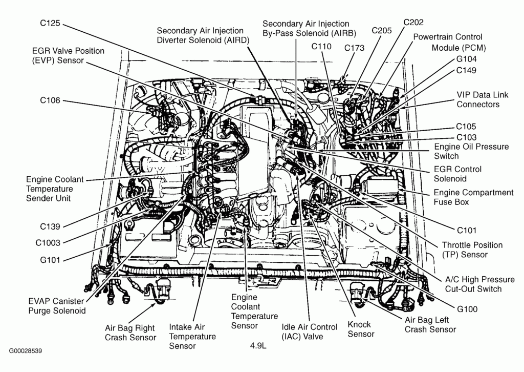 Firing Order On 2005 Ford F150 5 4 Wiring And Printable