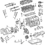 TOYOTA OEM 95 04 Tacoma 4runner 5vzfe V6 3 4 Engine Timing Belt