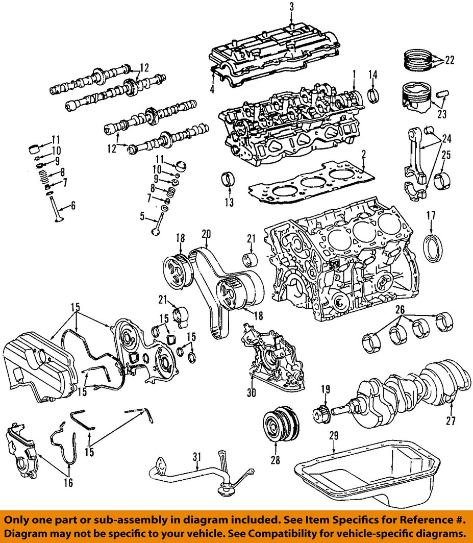 TOYOTA OEM 95 04 Tacoma 4runner 5vzfe V6 3 4 Engine Timing Belt