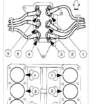 1999 Ford Ranger 3 0 Coil Pack Firing Order 2022 Firing order