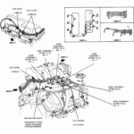 2003 Ford Ranger 3 0 L Firing Order Wiring And Printable