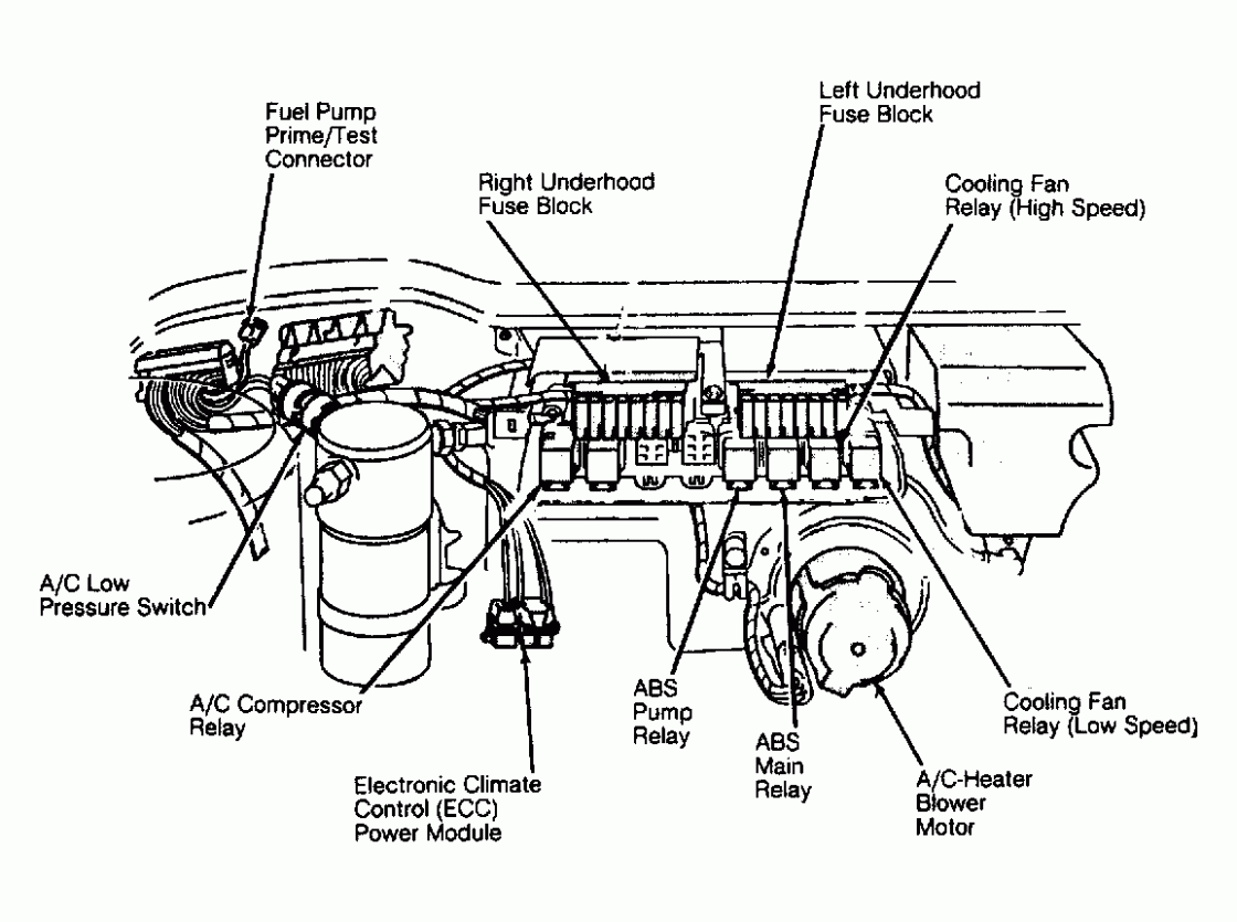 4 6 Cadillac Northstar Engine Firing Order EngineFiringOrder