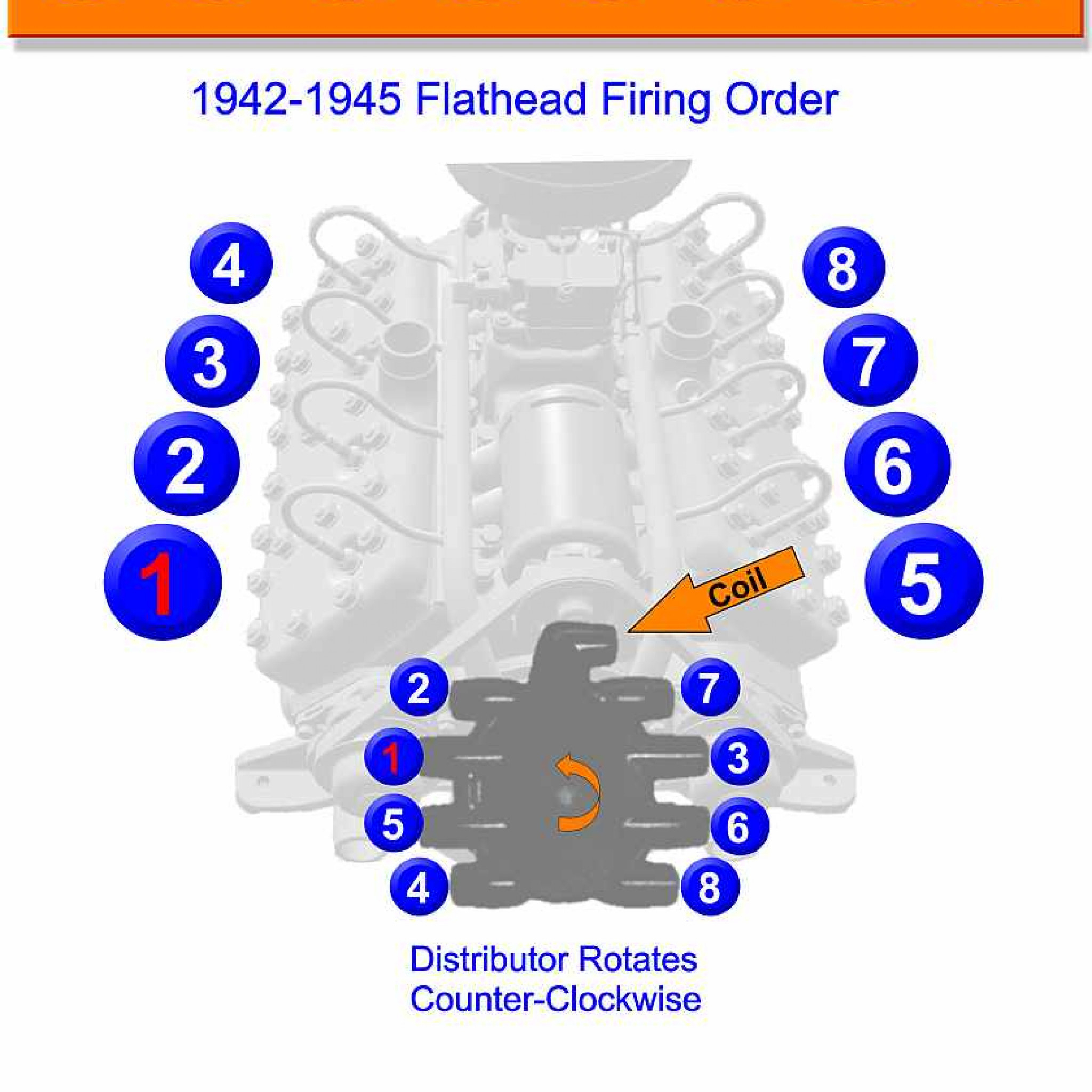 Ford Flathead V8 Firing Order Wiring And Printable